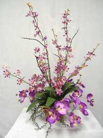 Orchid Arrangement